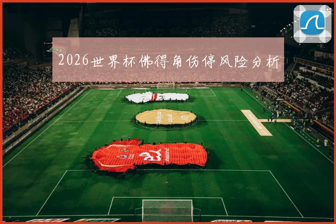 2026世界杯佛得角伤停风险分析